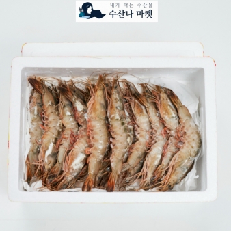 자연산 특대하 1kg/ 1.5kg